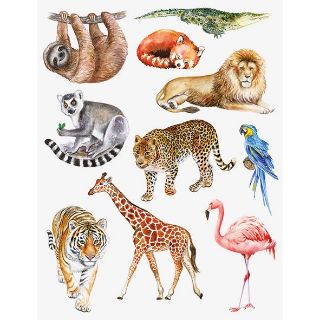 Obrázek z Tetování zoo(24ks/bal) 